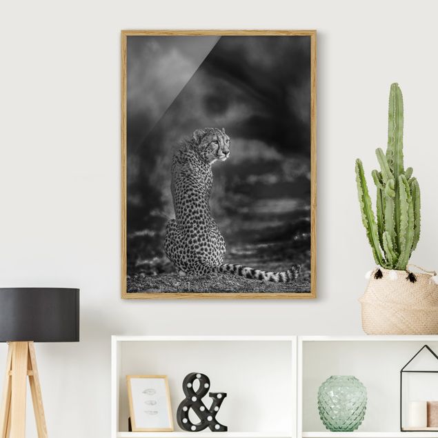 Schwarz-Weiß Bilder mit Rahmen Gepard in der Wildness