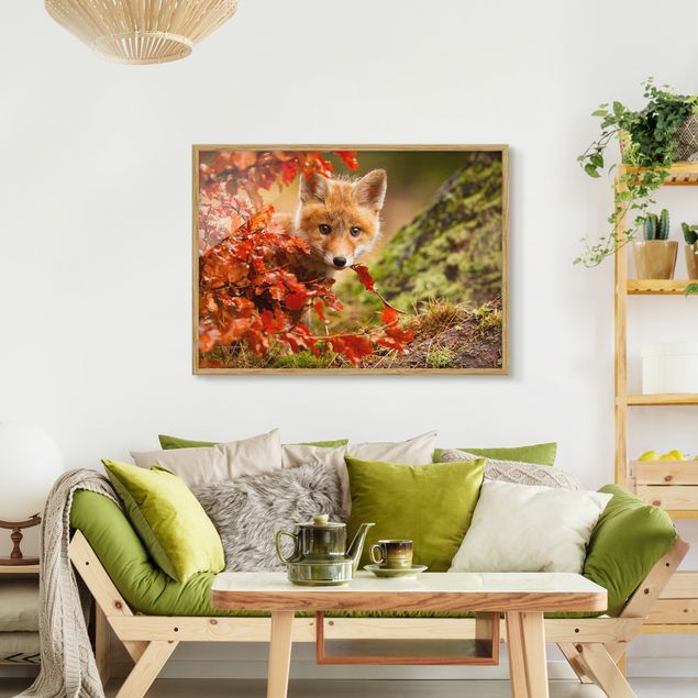 Bilder mit Rahmen abstrakt Fuchs im Herbst