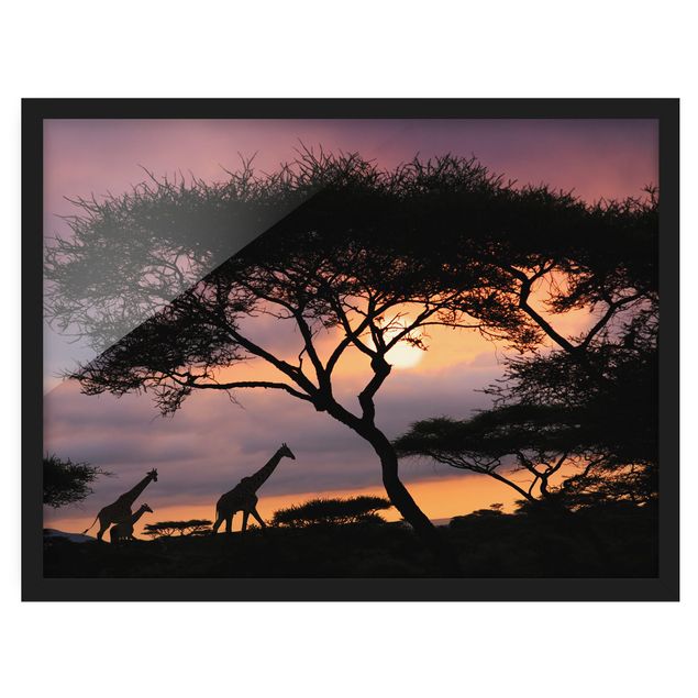 Bilder mit Rahmen Safari in Afrika