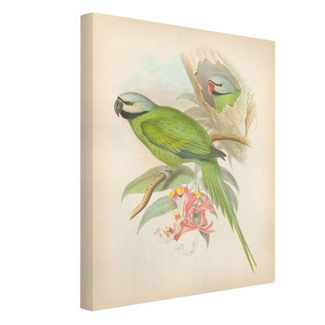 Leinwand Blumen Vintage Illustration Tropische Vögel II