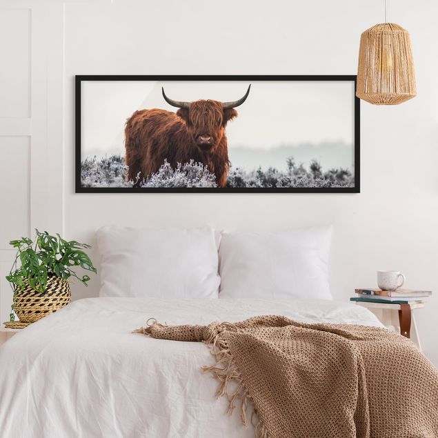 Gerahmte Bilder Bison in den Highlands