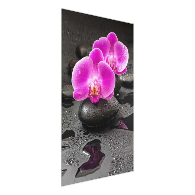 Natur Glasbilder Pinke Orchideenblüten auf Steinen mit Tropfen