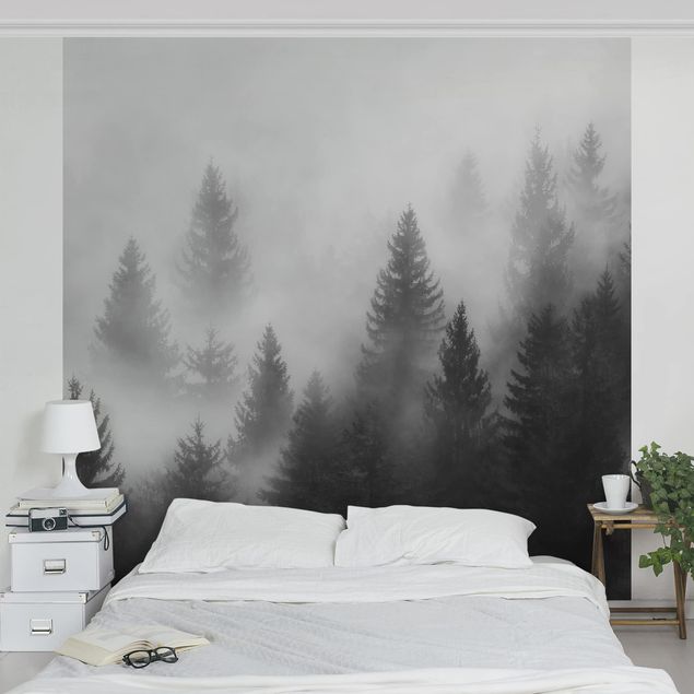 Tapeten modern Nadelwald im Nebel Schwarz Weiß