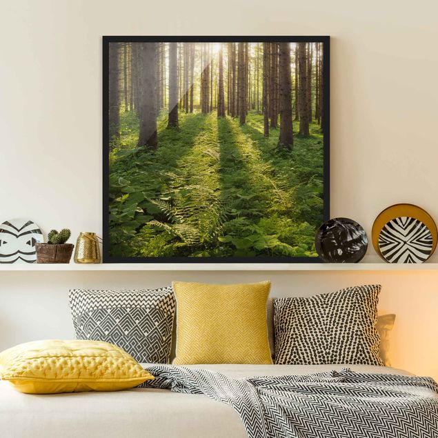 Bilder für die Wand Sonnenstrahlen in grünem Wald