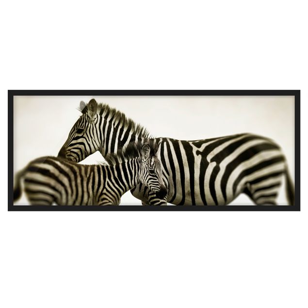 Gerahmte Bilder Zebrapaar