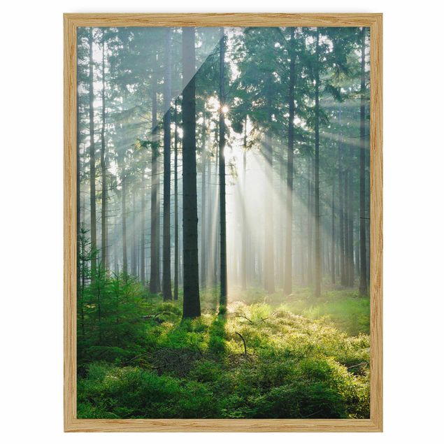 Bild mit Rahmen - Enlightened Forest - Hochformat 3:4