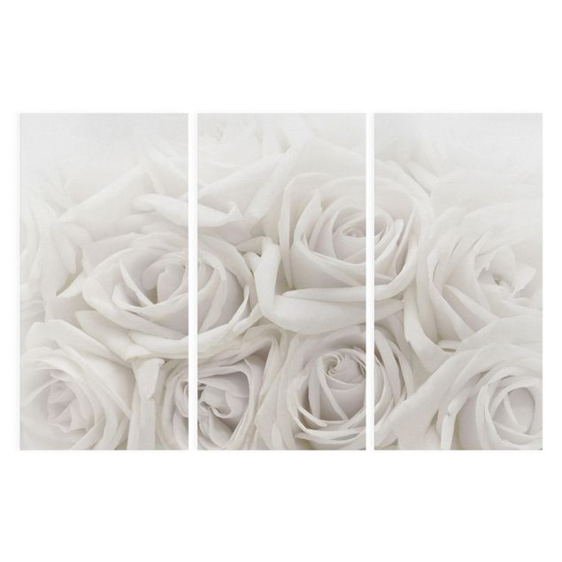 Wandbilder Weiße Rosen