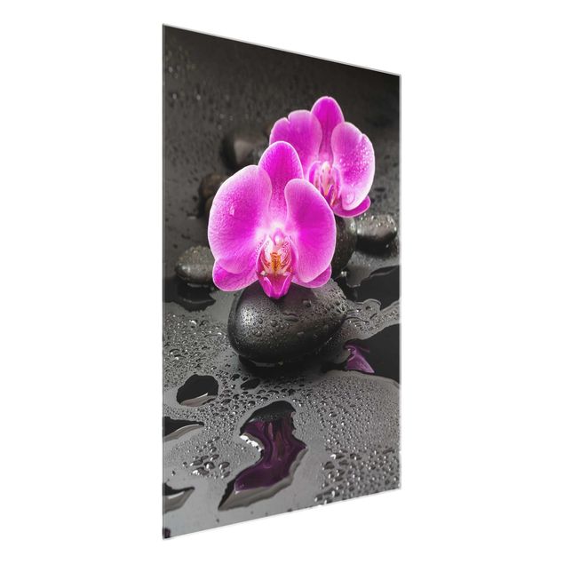 Glasbild Natur Pinke Orchideenblüten auf Steinen mit Tropfen