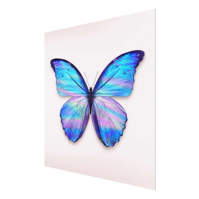 Glasbilder Holografischer Schmetterling