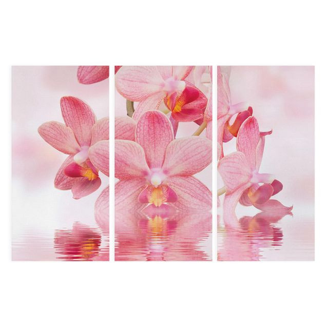 Schöne Wandbilder Rosa Orchideen auf Wasser