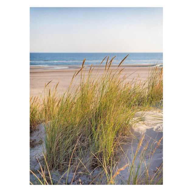 Leinwandbild Kunstdruck Stranddüne am Meer