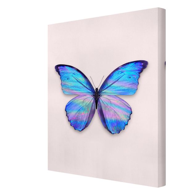 Wandbilder Wohnzimmer modern Holografischer Schmetterling