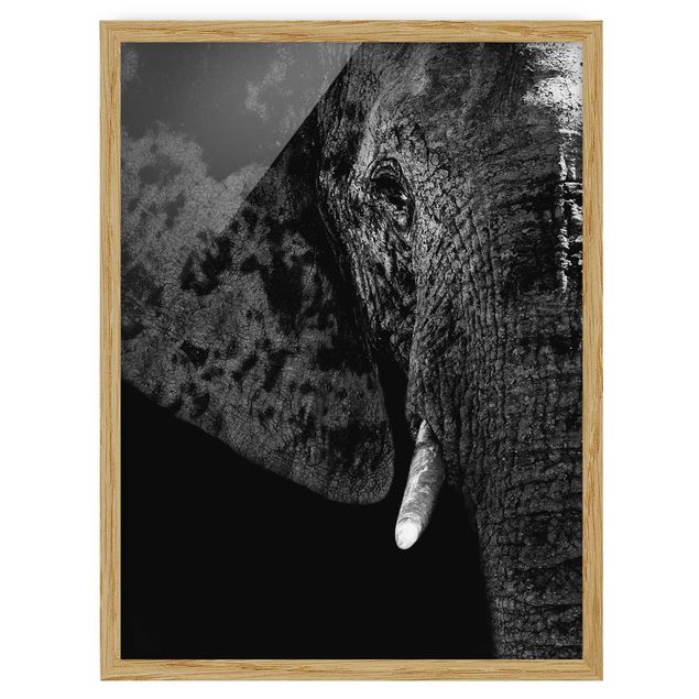 Schöne Wandbilder Afrikanischer Elefant schwarz-weiß