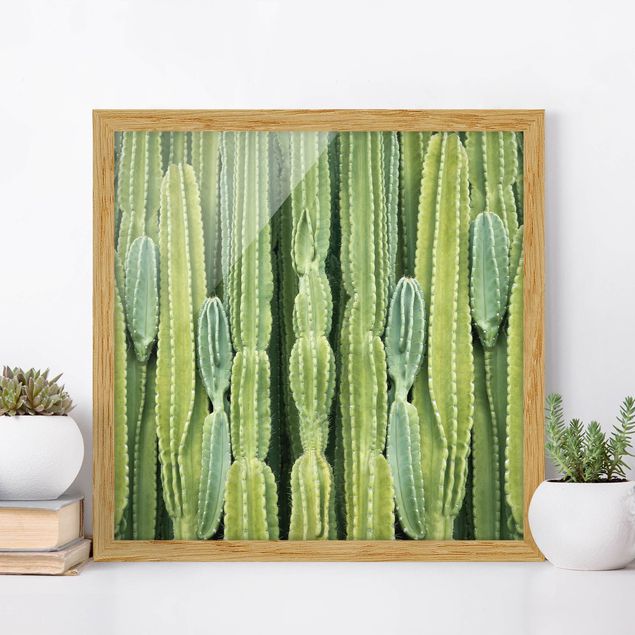 Gerahmte Bilder Blumen Kaktus Wand