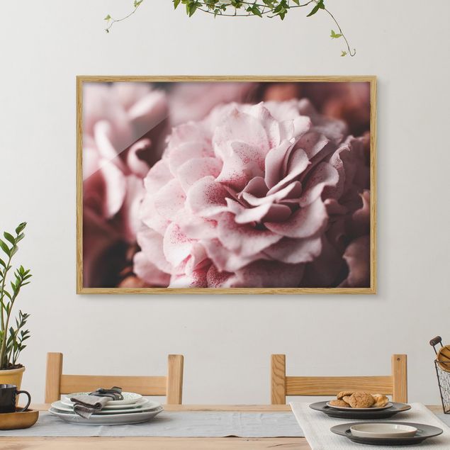 Bilder mit Rahmen Blumen Shabby Rosa Rose Pastell
