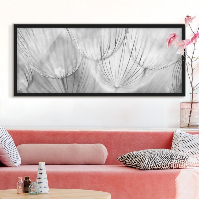 Blumen Bilder mit Rahmen Pusteblumen Makroaufnahme in schwarz weiß