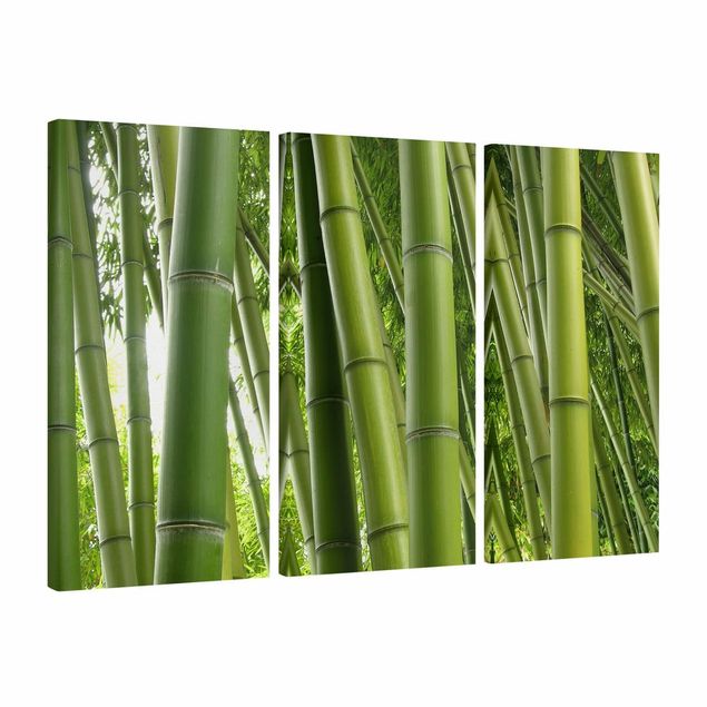 Wandbilder Wald Bamboo Trees