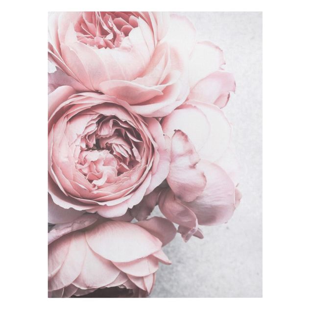 Leinwandbild - Rosa Pfingstrosenblüten Shabby Pastell - Hochformat 4:3
