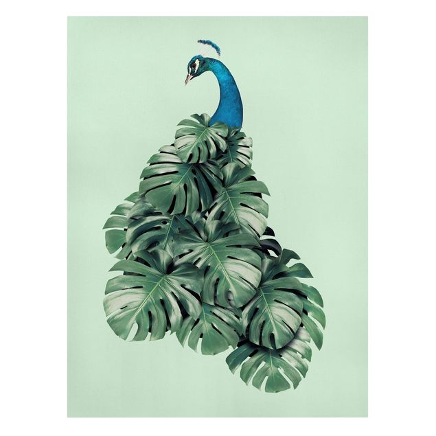 Leinwandbild Kunstdruck Pfau mit Monstera Blättern