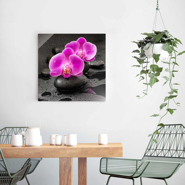Glasbild Blumen Pinke Orchideenblüten auf Steinen mit Tropfen