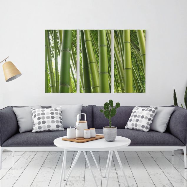Wandbilder Natur Bamboo Trees