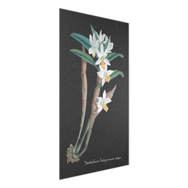 Natur Glasbilder Weiße Orchidee auf Leinen I