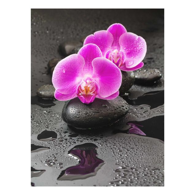 Schöne Wandbilder Pinke Orchideenblüten auf Steinen mit Tropfen