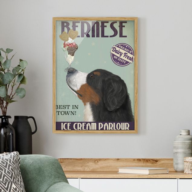 Gerahmte Kunstdrucke Berner Sennenhund mit Eis