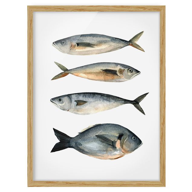 Gerahmte Bilder Vier Fische in Aquarell I