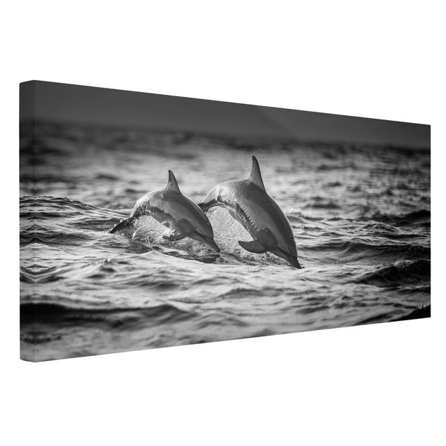 Leinwand Schwarz-Weiß Zwei springende Delfine