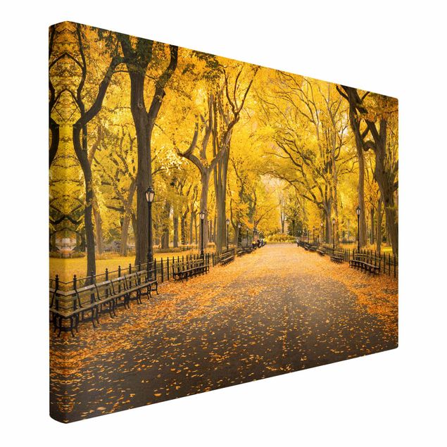 Wandbilder Städte Herbst im Central Park