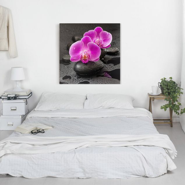 Leinwandbilder Blumen Pinke Orchideenblüten auf Steinen mit Tropfen