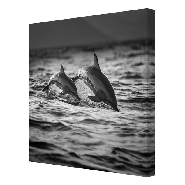 Wandbilder Wohnzimmer modern Zwei springende Delfine