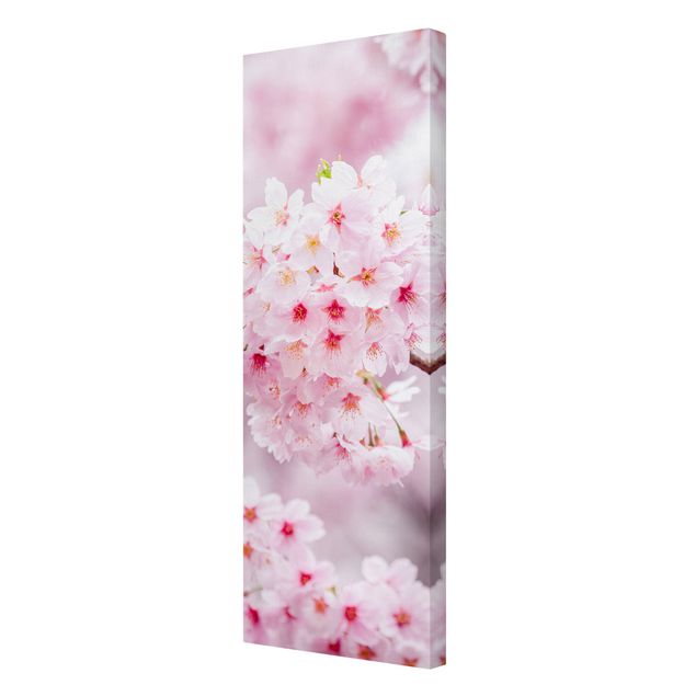 Wandbilder Wohnzimmer modern Japanische Kirschblüten