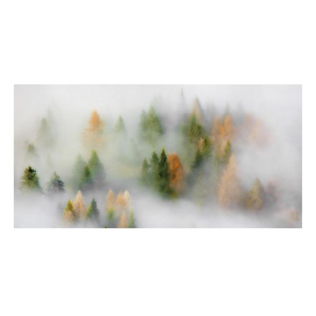 Schöne Wandbilder Nebelwald im Herbst