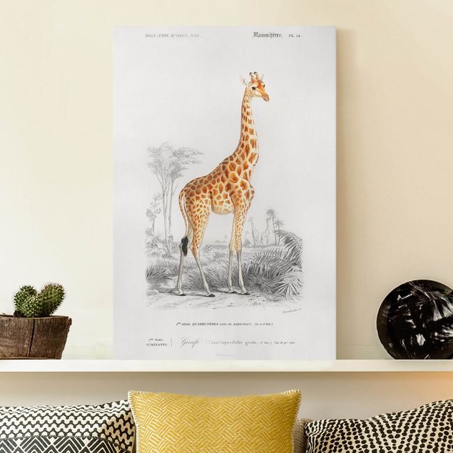 Wandbilder XXL Vintage Lehrtafel Giraffe