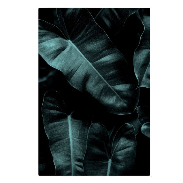 Wandbilder Dschungel Blätter Dunkelgrün
