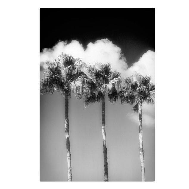 Leinwandbilder Wohnzimmer modern Palmen vor Himmel Schwarz-Weiß