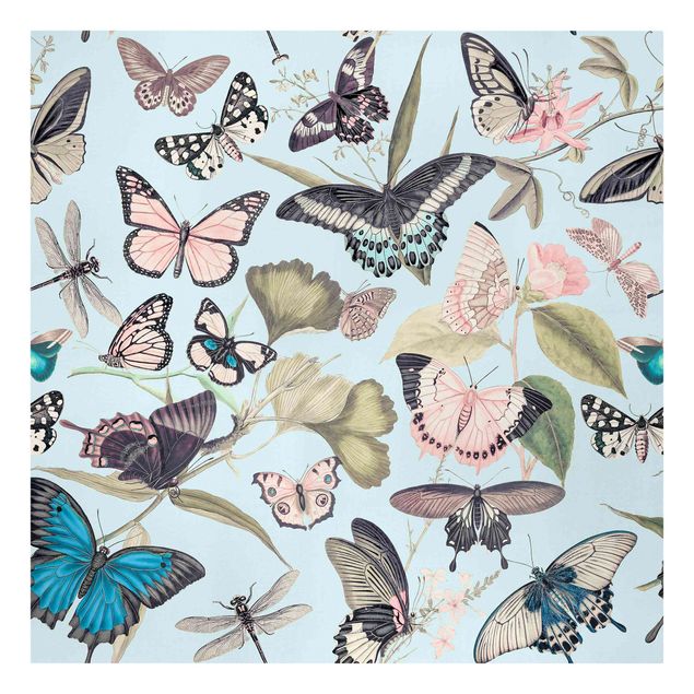 Kunstdrucke auf Leinwand Vintage Collage - Schmetterlinge und Libellen