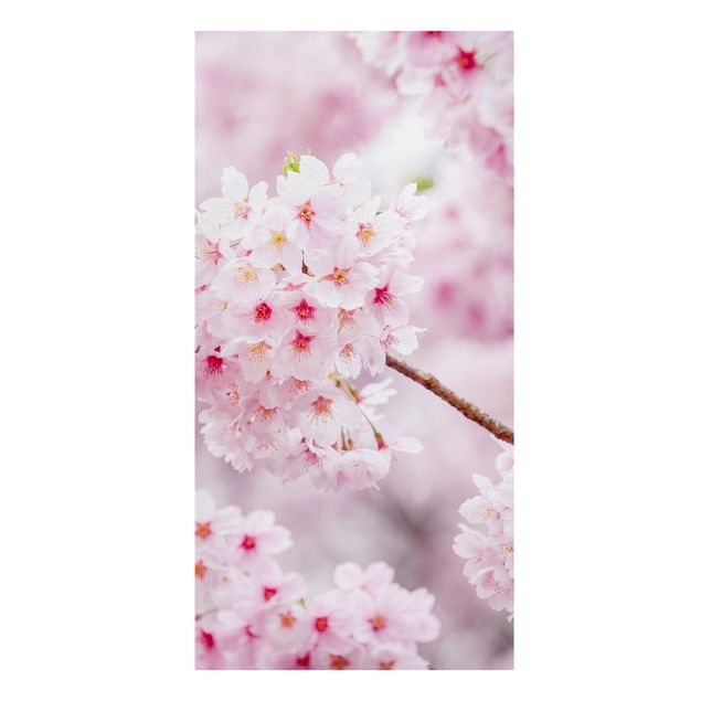 Wandbilder Skyline Japanische Kirschblüten