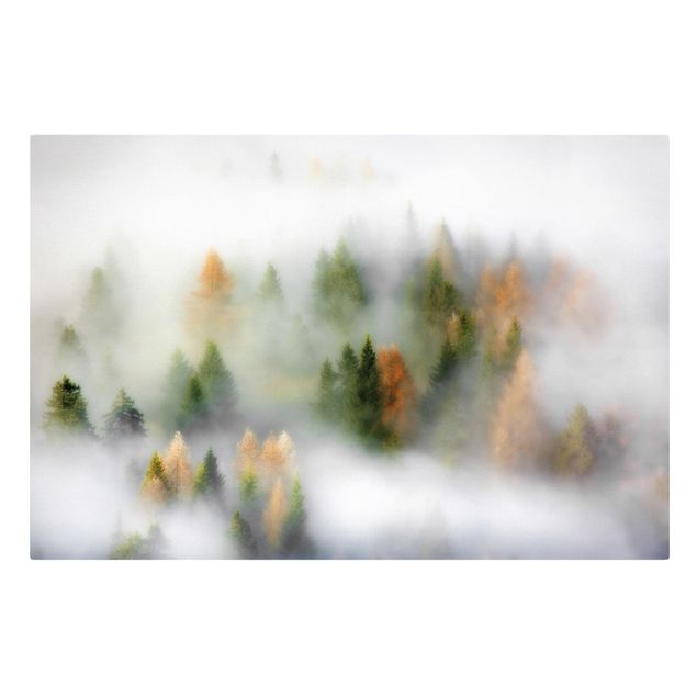 Bilder für die Wand Nebelwald im Herbst