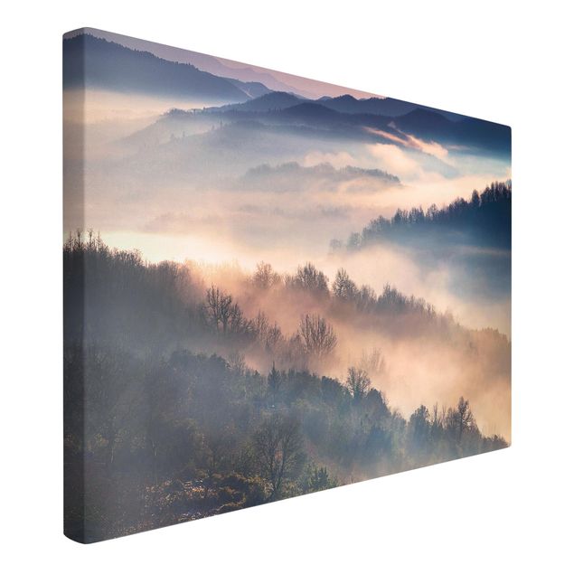 Wandbilder Wald Nebel bei Sonnenuntergang