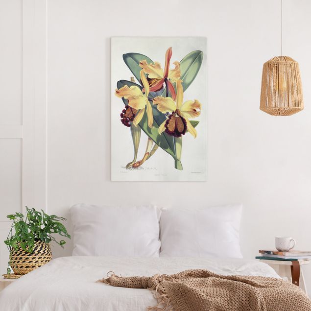 Wandbilder Blumen Walter Hood Fitch - Orchidee