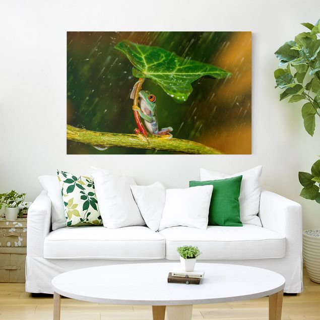 Wandbilder Tiere Ein Frosch im Regen
