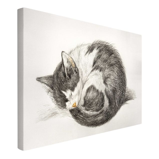 Leinwandbilder Schwarz-Weiß Vintage Zeichnung Katze II