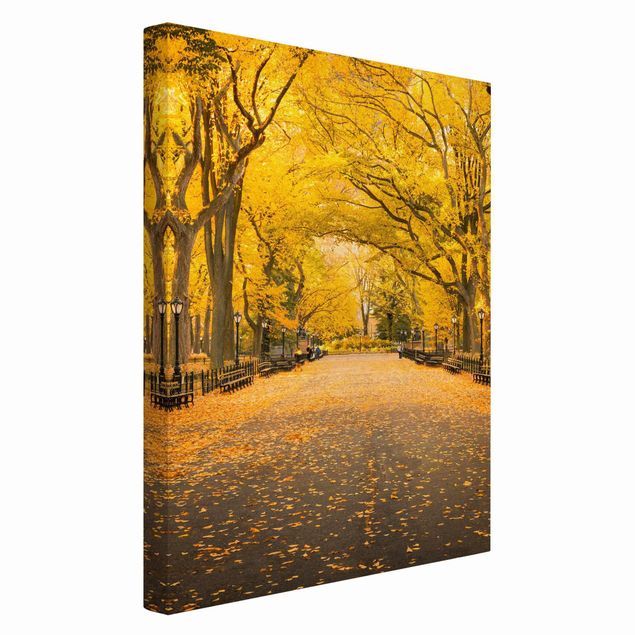 Leinwandbilder Skyline Herbst im Central Park