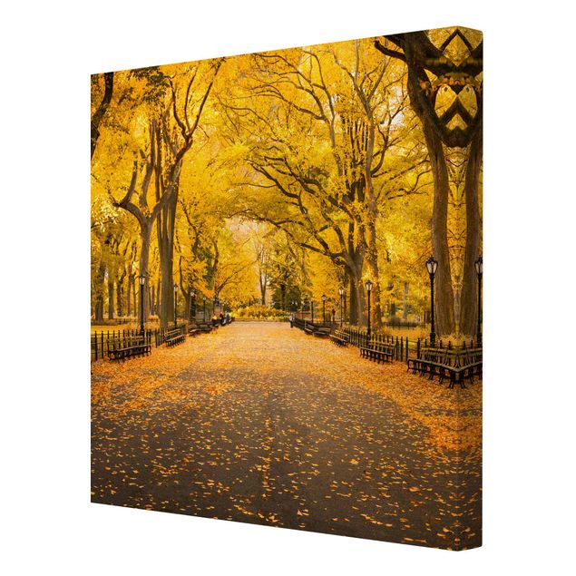 Wandbilder Herbst im Central Park