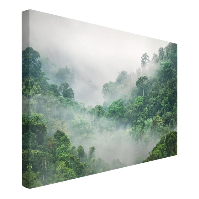 Wandbilder Wald Dschungel im Nebel