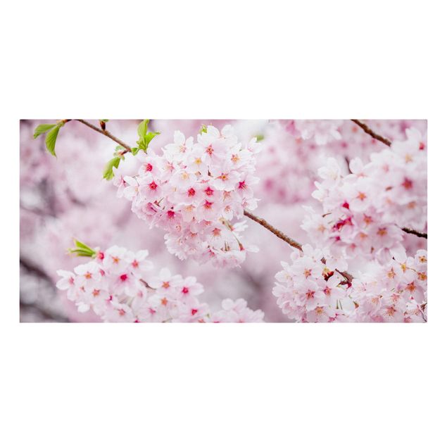 Leinwandbilder Skyline Japanische Kirschblüten