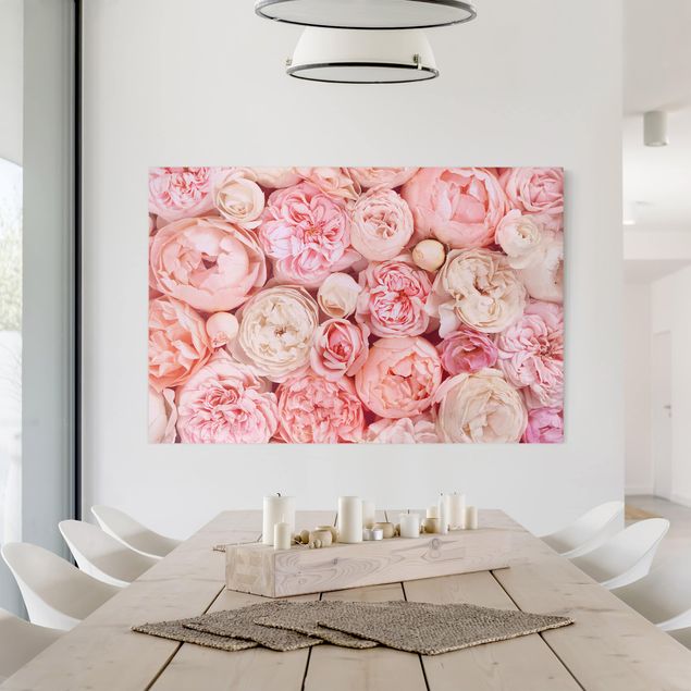 Wandbilder Rosen Rosen Rosé Koralle Shabby